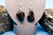 Earrings - Polished Black Rock