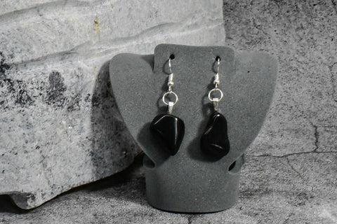 Earrings - Polished Black Rock