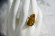 Rocks n' Rings - Tiger Eye